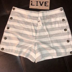 4” Ann Taylor Loft Shorts